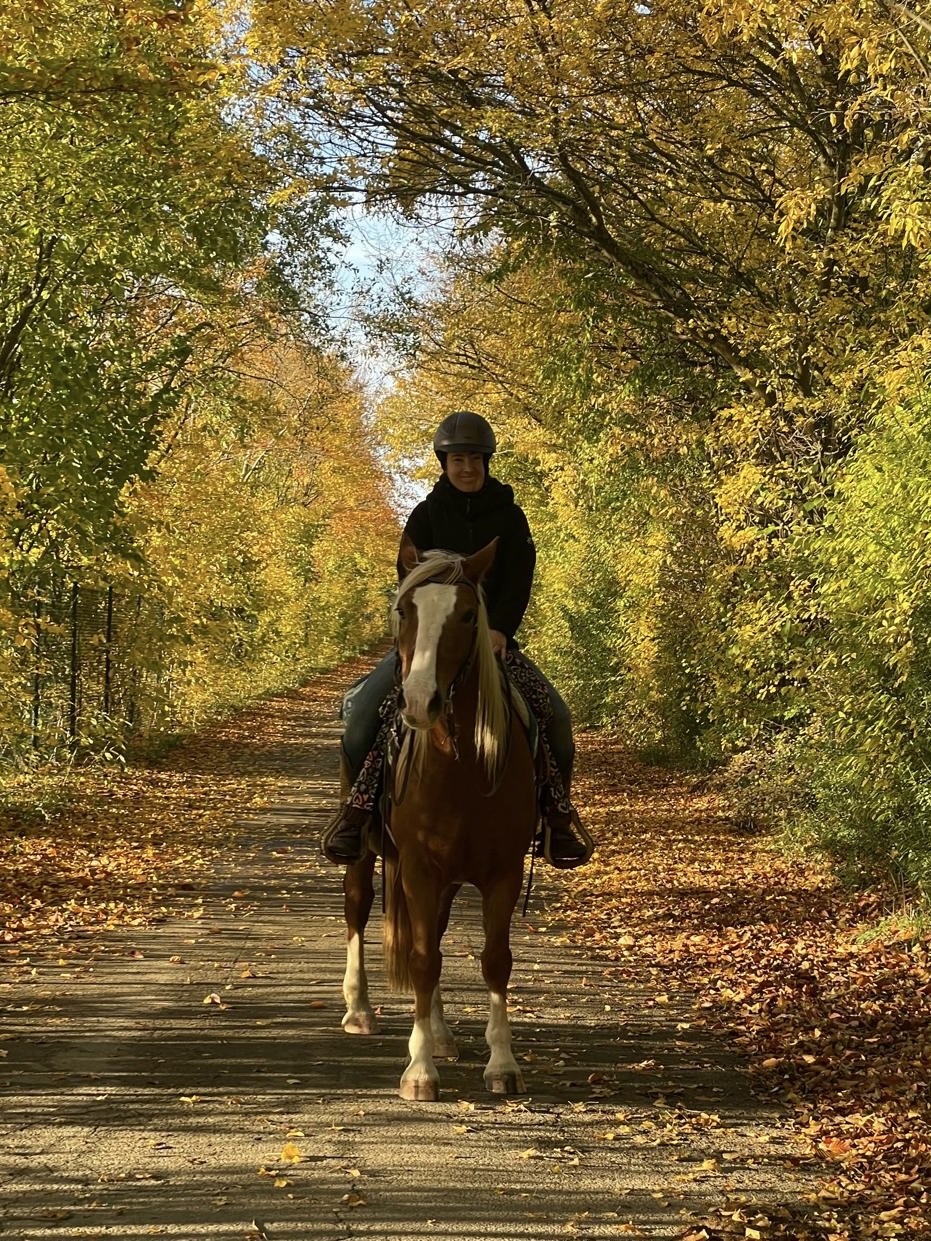 Bettina Schmitz auf ihrem Pferd auf einem herbstlichen Waldweg